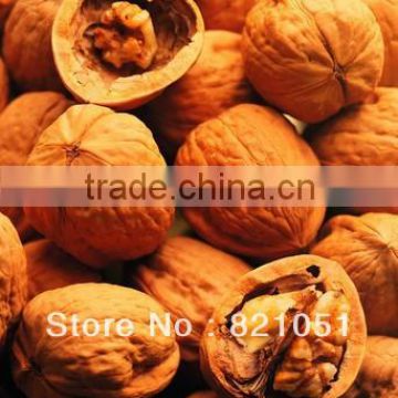 walnut nut