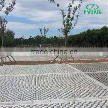 Concreting Plant Ecology Pouring Pile Strawberry Flower Grass Ground Floor Parking Lot Pavement Stone Clover Mold photo-4