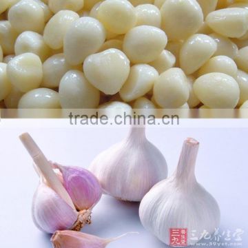 garlic paste,garlic sauce,halal factory foods,BRC,HACCP,GMP,OEM brands