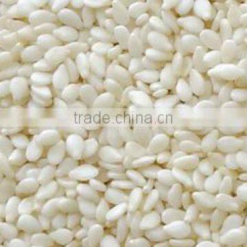 Superior Quality Sesame Seeds for oil extraction