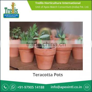 Widely Used Non Coated Teracotta Pots Available for Bulk Buyer