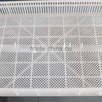 incubator egg plastic hatchery box