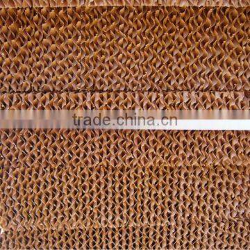 Greenhouse and Poultry House Cooling /Evaporative Cooling Pad/Cooling System photo-3