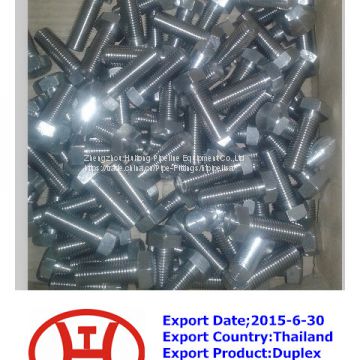 Duplex 2205 hex head bolt