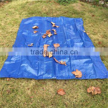 Silver Green Opaque Tarpaulin photo-3