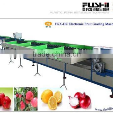 Electronic Fruit Sorting Machine(FGX-130)