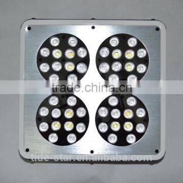 Hiah Quality Apollo Led Grow Lights Hydroponic photo-3