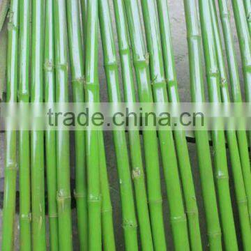 CHY030924 Guangzhou Shengjie Artificial Bamboo Plant Sticks With Bamboo Leaf photo-3