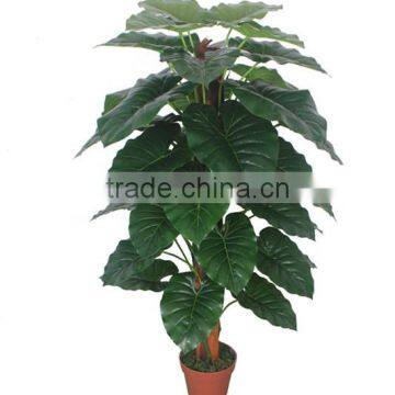 CHY030933 Indoor Artificial Bonsai Plant /plastic Fake Plant/ Artificial Alocasia Plant photo-4