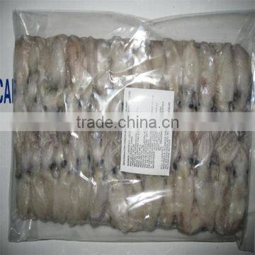 Frozen Baby Loligo Squid photo-4