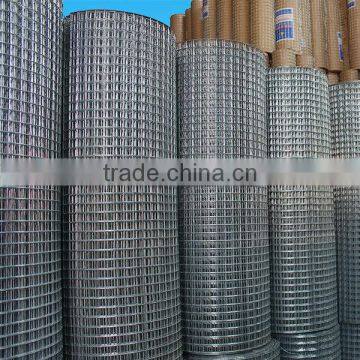 Galvanized Welded Wire Mesh From Guangzhou Supllier photo-4
