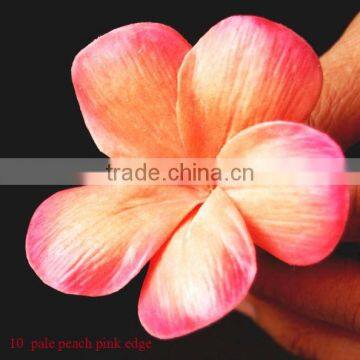 Plumeria frangipani flower head realistic look flower