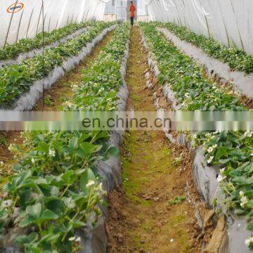 Free Sample Custom Perforated Mulching for Strawberry Planting Agriculture Black Biodegradable Plastic Mulch Film Punch Hole