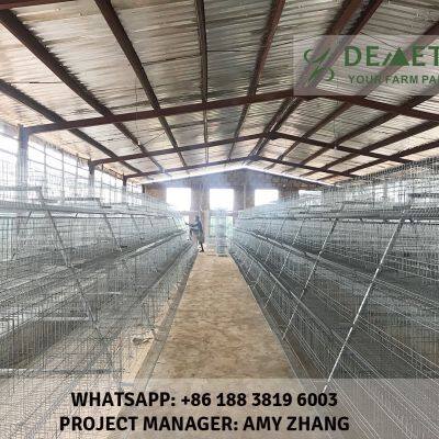 A Type Layer Chicken Cage for Sale in Nigeria photo-2