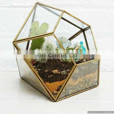 diamond design terrarium