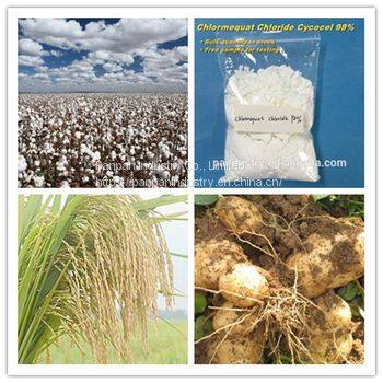 China Manufacture Good Pesticide Ccc Foliar Fertilizer Chlormequat Chloride 98%tc photo-2