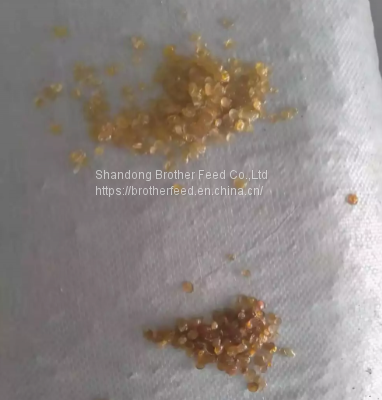 Bone Glue Bead Industrial Use Animal Adhesive Glue