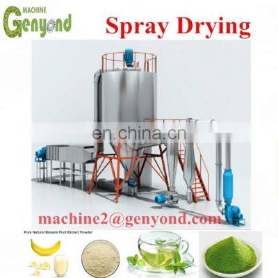 Raisin Dryer Mango Air Can Drying Room Hot Air Circulation Black Currant Dragon Fruit Drying Dehydration Equipment photo-3