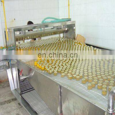 Canned Fruit Vegetable Processing Line photo-4