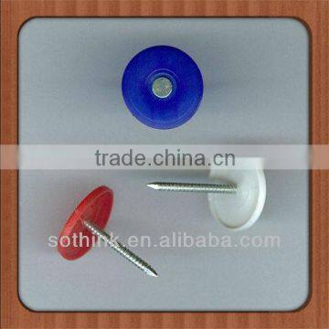 Ring Shank Plastic Nails (reasonable price)