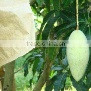 Factory direct sale high quality kraft mango growing bag