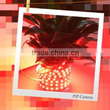 New Light SMD5050 DC12V/24V Rgbw Wireless Bendable Led Strip Light photo-5