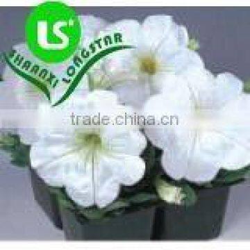 High quality of Plastic flower pots