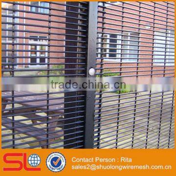 Anti Climb PVC Coated Prison Mesh