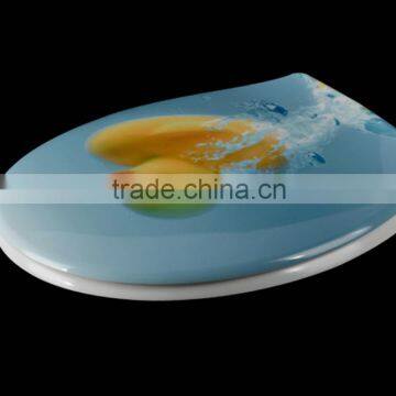 European Standard Printed Toilet Seat photo-2