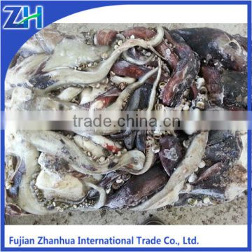 new frozen squid tentacles for sale