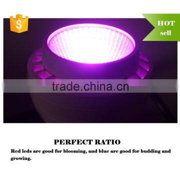2016 High penetration 35W COB Chip Led Grow Light