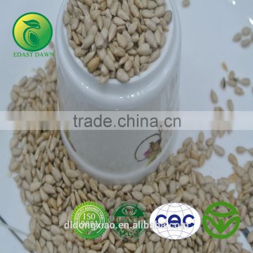 Wholesale Agriculture Sunflower Seed Kernel for Oil