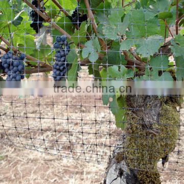 Fruit Netting 15mm Mesh Heat Welded Polypropylene Mesh(Manufacture)