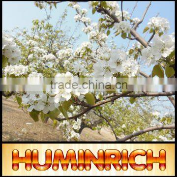 Huminrich Shenyang 100PCT Leonardite Source Soluble Quick Release Irrigation