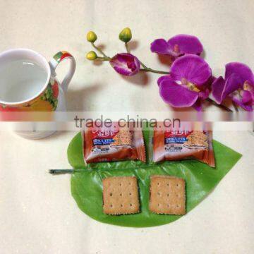 chocolate biscuit