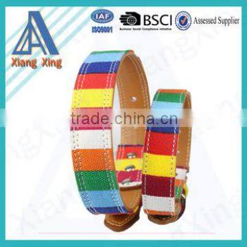 Fashion Pet Products Personalized Custom Style Dog Training Collar and Leash photo-4