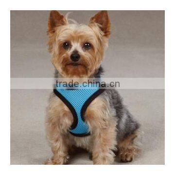 dog harness