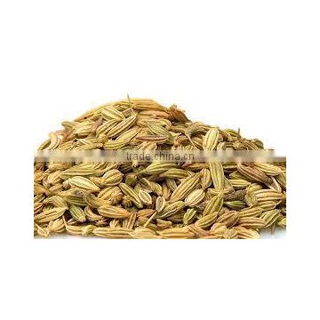 Fennel seed