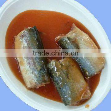 OEM canned mackerel in tomato sauce