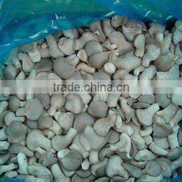 IQF oyster mushroom