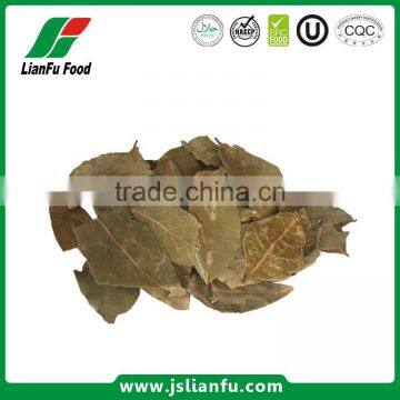 Dehydrated Dried AD air dry Bay leaf