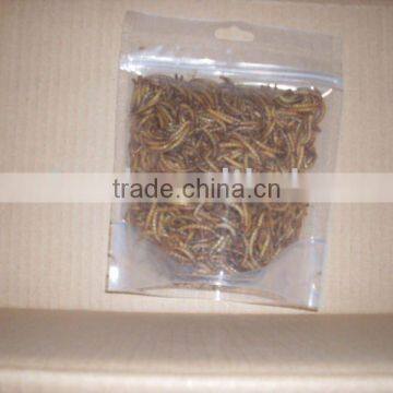 dry mealworm bird fish chicken reptiles food