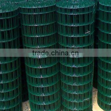 Green Pvc Coated Welded Holland Wire Mesh photo-4