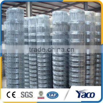 Hot Sale Farm Used Galvanized Steel y Fence Post