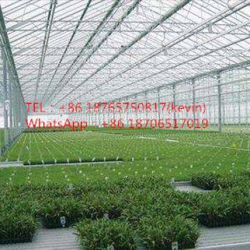 hot sell Sun Vegetable Greenhouse&agricultural Greenhouse