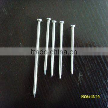 best price/high quality common nails(anping supplier)