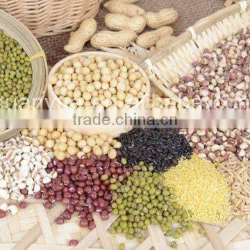Complete Automatic-- 5 TPH Full Automatic Lentil Peeling and Splitting Line photo-2