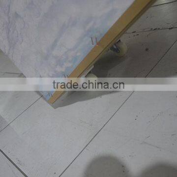 Hor Sale Printing Trolley Case for Mattress Packing photo-3