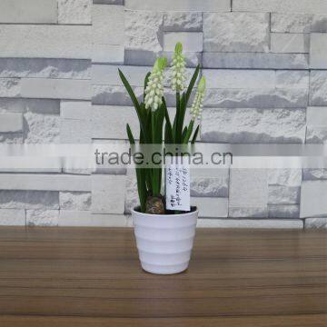 Artificial Mini Hyacinth Bonsai for Table Decoration photo-5