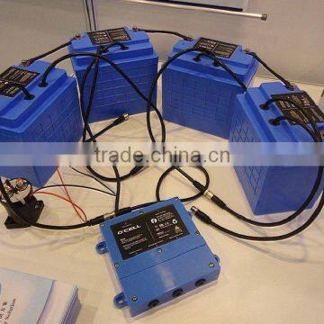 Battery for electric sightseeing car 48V110AH